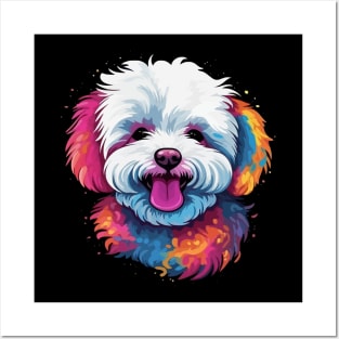 Bichon Frise Smiling Posters and Art